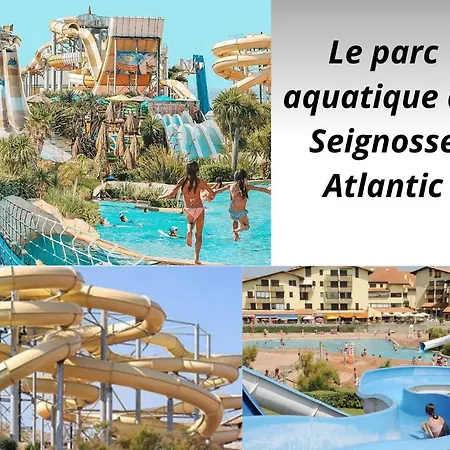 Chic Le Penon Au Pied De L Ocean Apartment